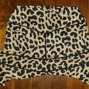 M Kingdom Cheetah Balance Athletica